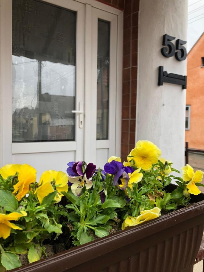 Krin Apartman Subotica Eksteriør bilde